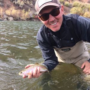 Meet your Posher, Jon